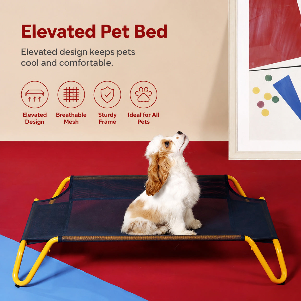 Elevated Cot With Mesh Base