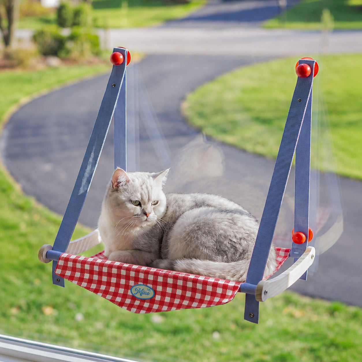 Gingham Window Cat Hammock