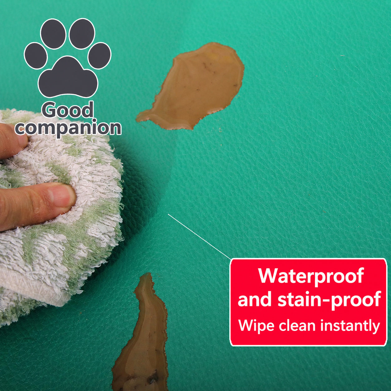 Waterproof Wipe-clean Pet Mat