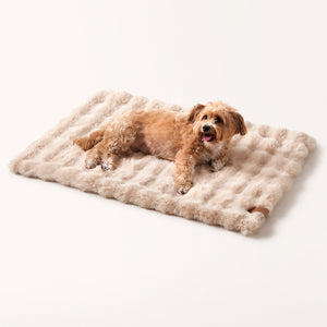 Double-sided Cozy Pet Blanket