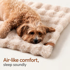 Double-sided Cozy Pet Blanket