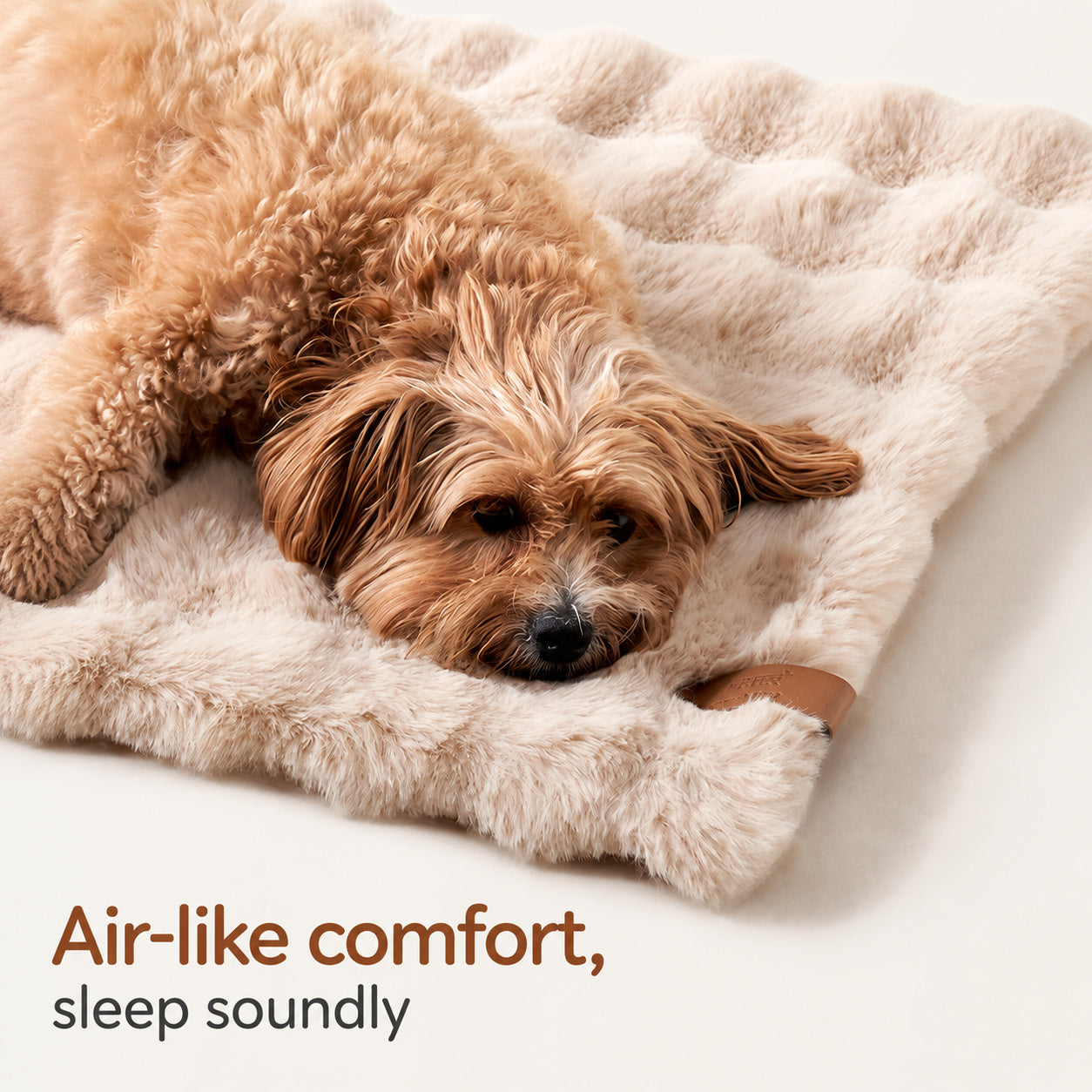 Double-sided Cozy Pet Blanket