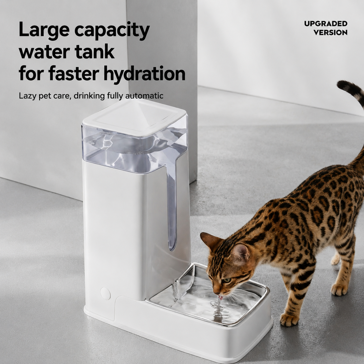 Gravity-fed Pet Water Station