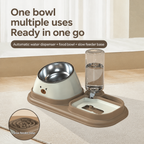 Angled Double Bowl Pet Feeder