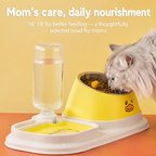 Angled Double Bowl Pet Feeder