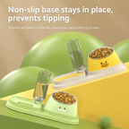 Angled Double Bowl Pet Feeder