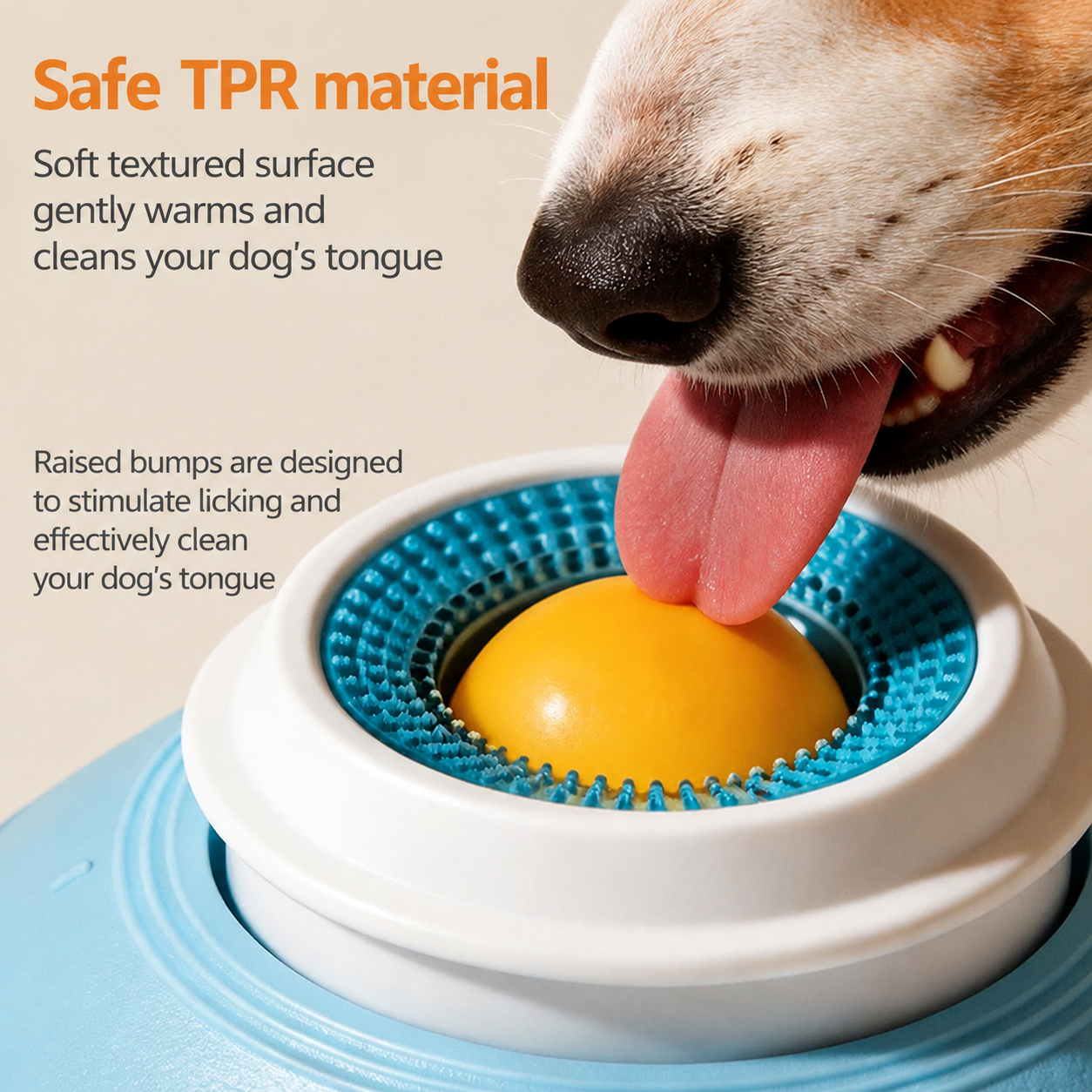 Slow-Feed Lick Bowl Anti-Slip