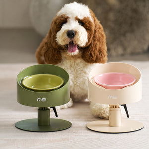 Adjustable Tilted Ceramic Bowl