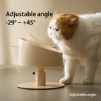 Adjustable Tilted Ceramic Bowl