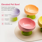 Pastel Ceramic Cat Bowl