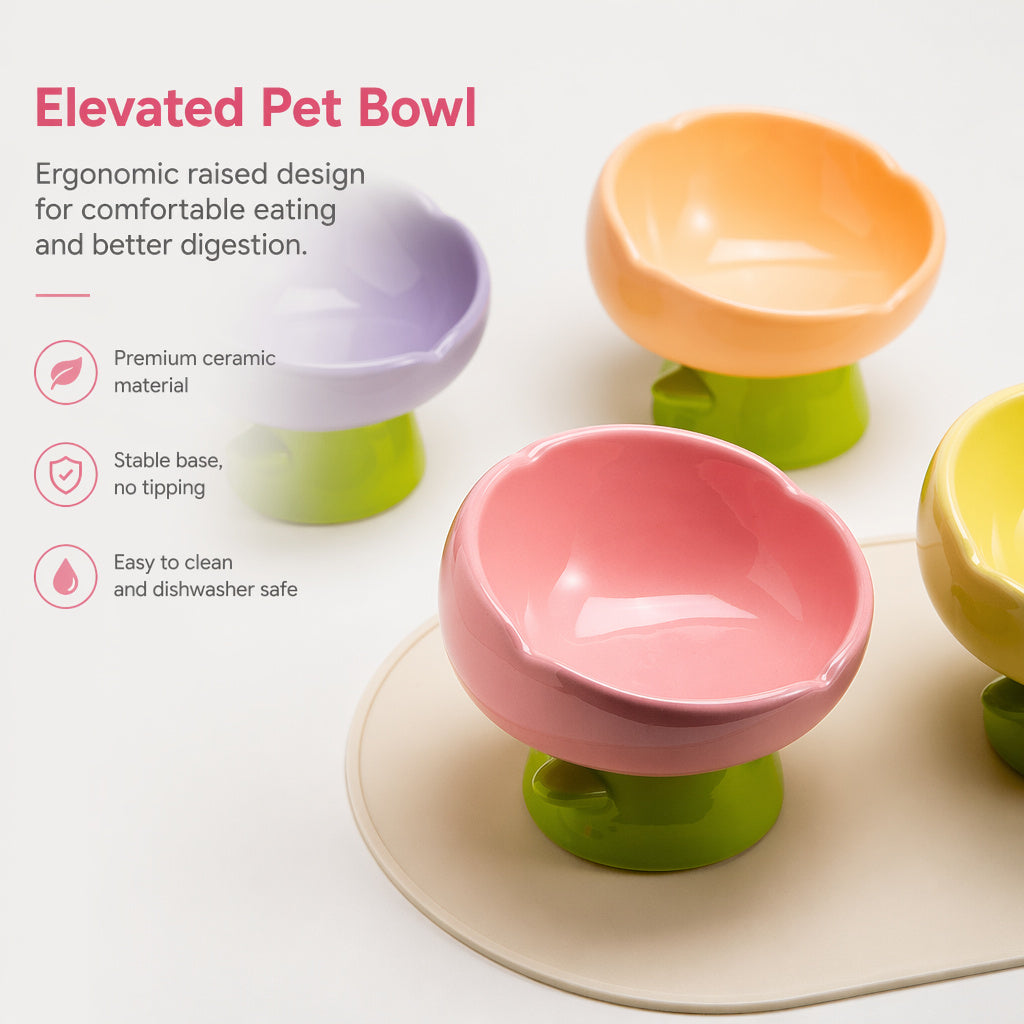 Pastel Ceramic Cat Bowl