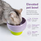 Pastel Ceramic Cat Bowl