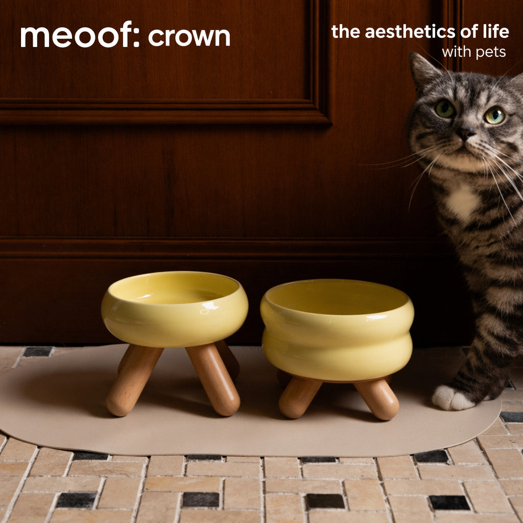 Ceramic Tripod Elevated Bowl