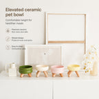 Ceramic Tripod Elevated Bowl