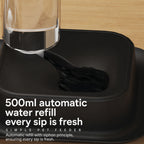Auto-refill Dual Pet Bowl
