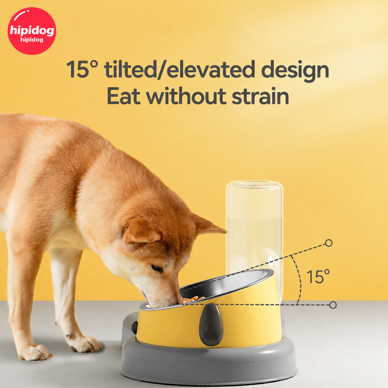 Tilted Slow-feed Pet Bowl