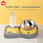 Tilted Slow-feed Pet Bowl