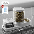 2-in-1 Feeder Fountain Combo