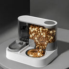 All-in-one Feeder Fountain