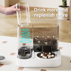 All-in-one Feeder Fountain