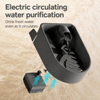 All-in-one Feeder Fountain