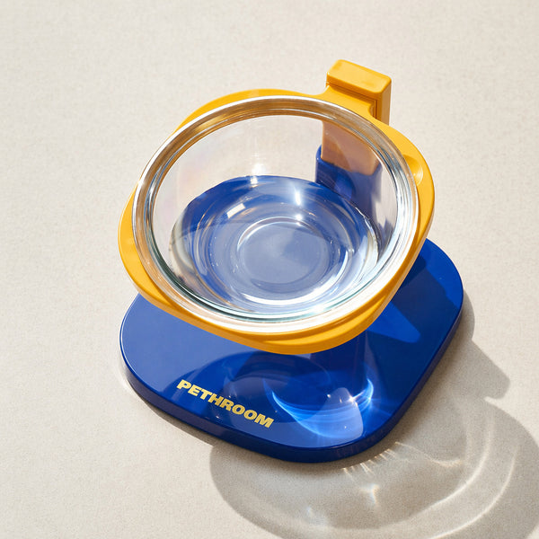 Iridescent Tilted Pet Water Bowl