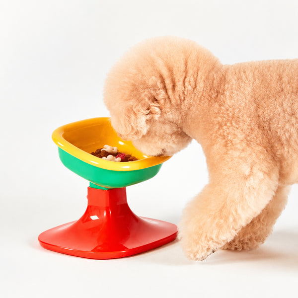 Elevated Color-pop Pet Bowl