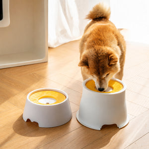Floating Plate Spill-proof Dog Bowl