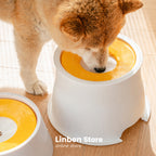 Floating Plate Spill-proof Dog Bowl