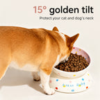 Polka-dot Tilted Ceramic Bowl