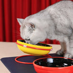 Angled Ceramic Pet Bowl Stand