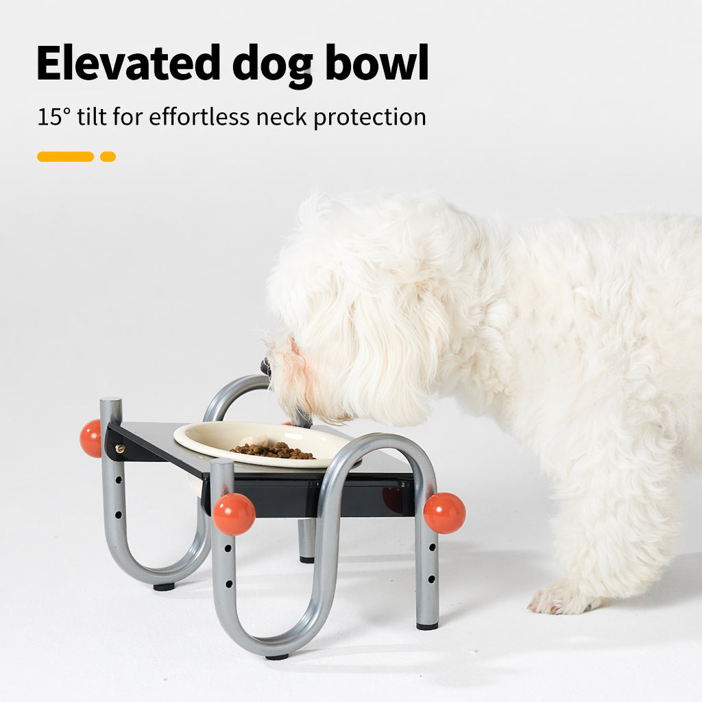 Adjustable Ceramic Double Feeder