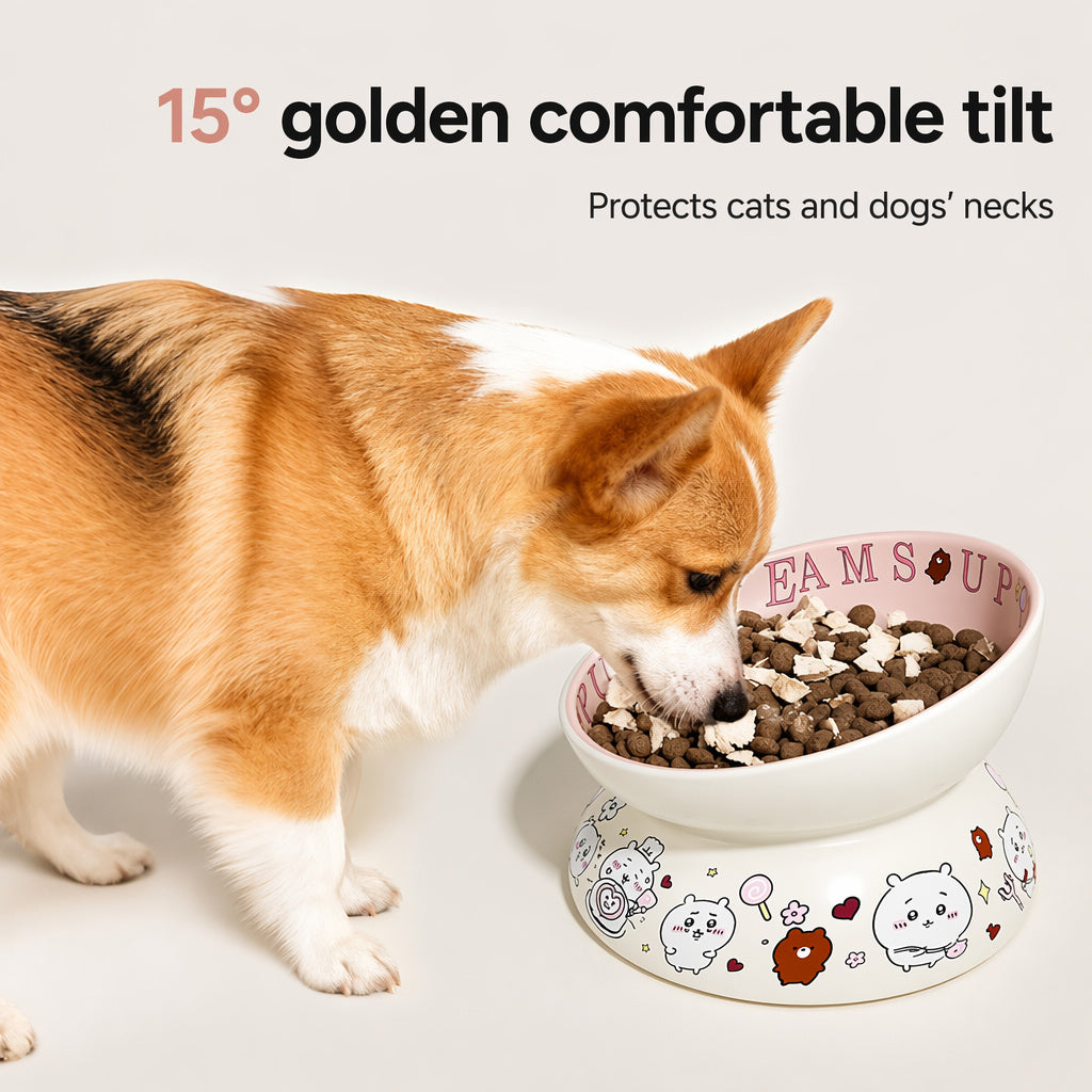 Tilted Anti-topple Ceramic Bowl