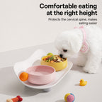 Wide Ceramic Anti-tip Pet Bowl