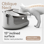Elevated Ceramic Cat Bowl Duo