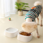 Minimal Tilt Pet Bowl