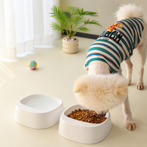 Minimal Tilt Pet Bowl