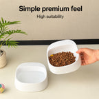 Minimal Tilt Pet Bowl