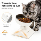 Adjustable Tilt Stainless Bowl