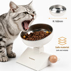 Adjustable Tilt Stainless Bowl