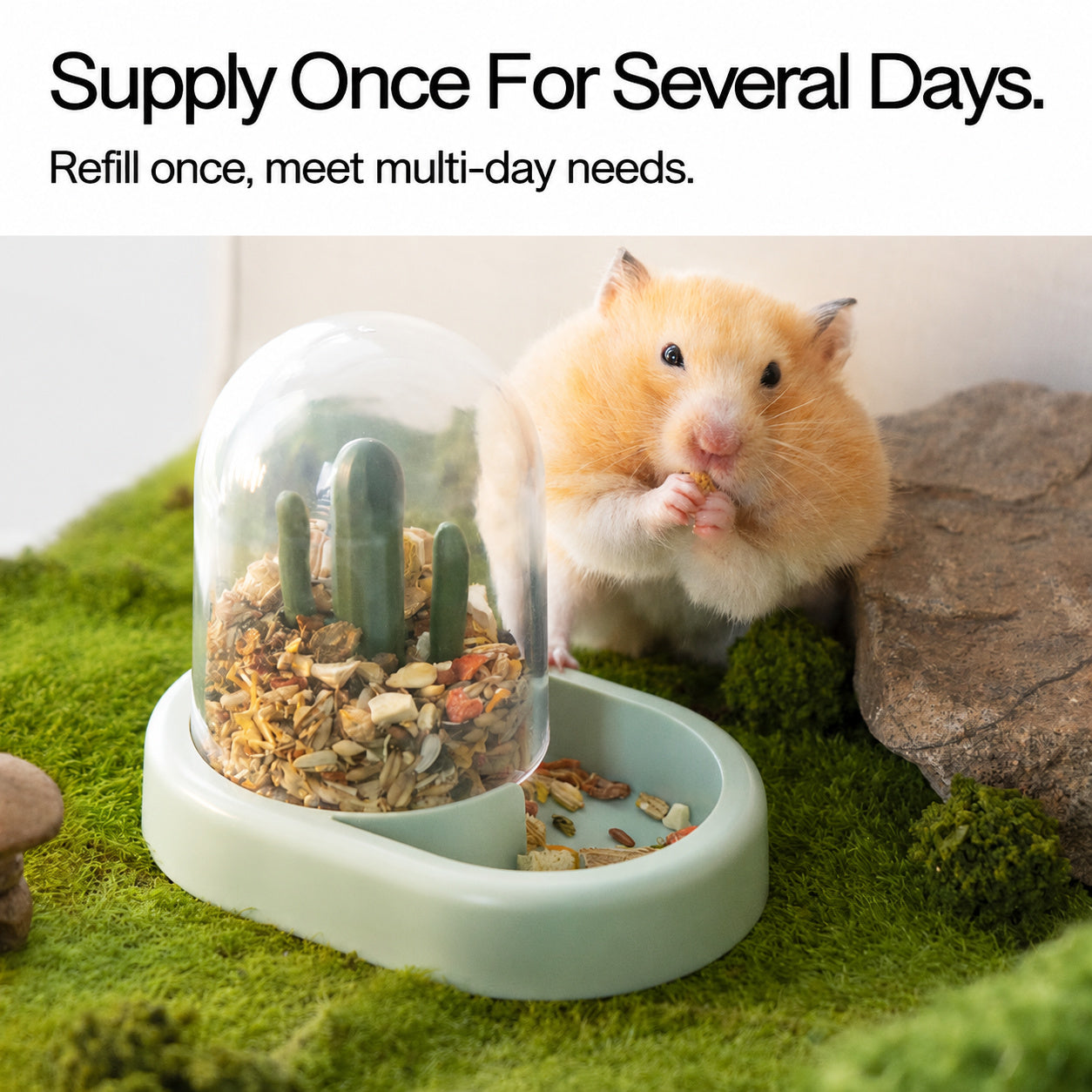 Gravity Feeder Water Bottle