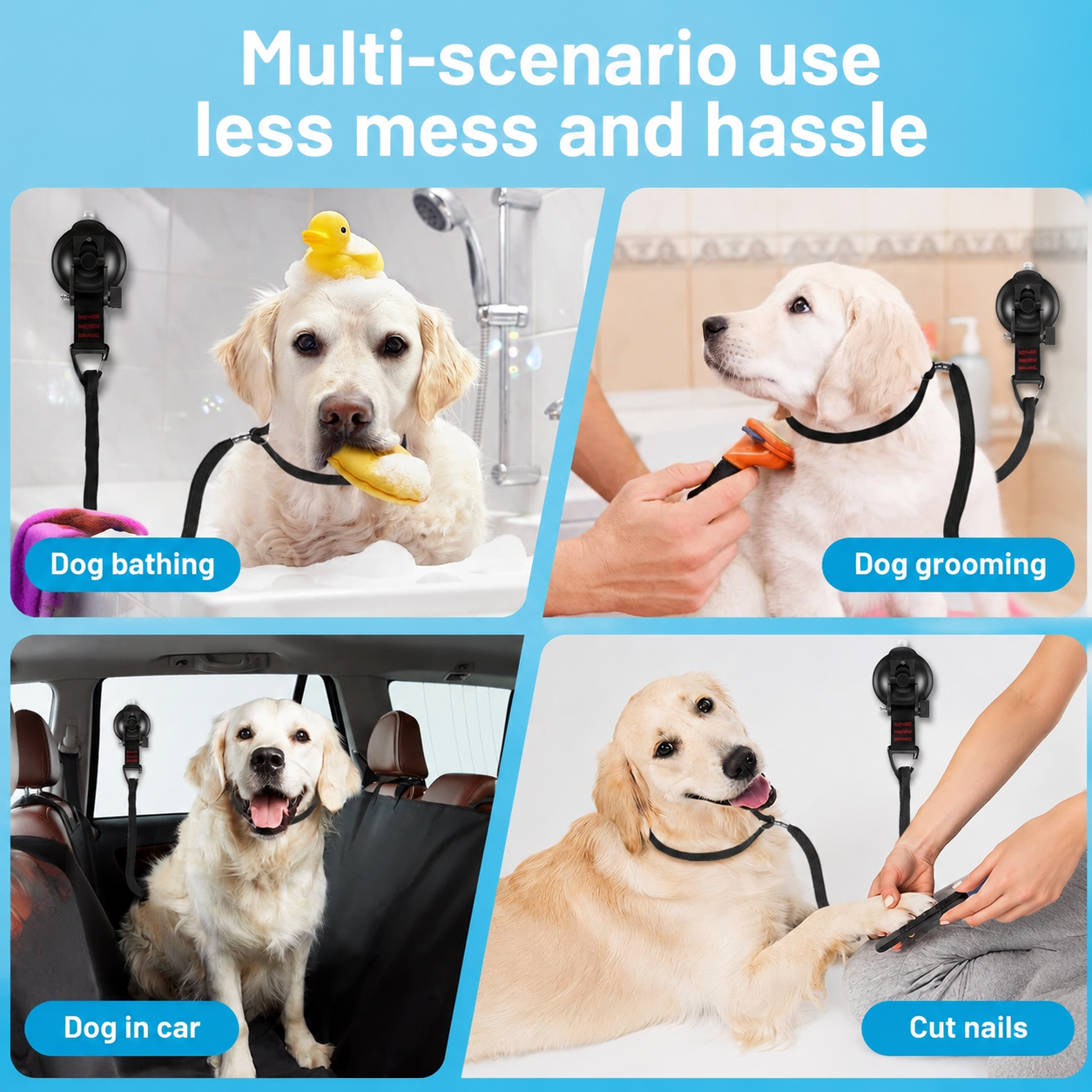 Hands-Free Suction Grooming Tether