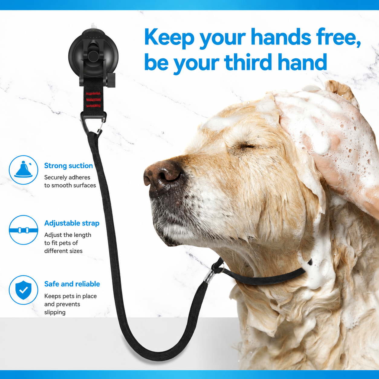Hands-Free Suction Grooming Tether