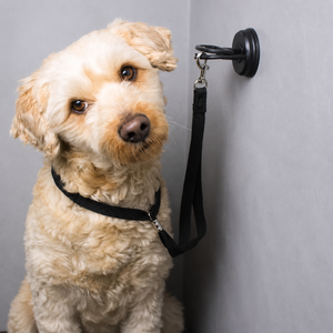 Pet Bath Suction Tether