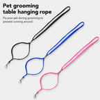 Pet Bath Suction Tether