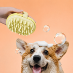 Silicone Bath Brush Dispenser