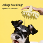 Silicone Bath Brush Dispenser