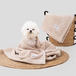 Cloud-soft Rapid-absorb Pet Towel