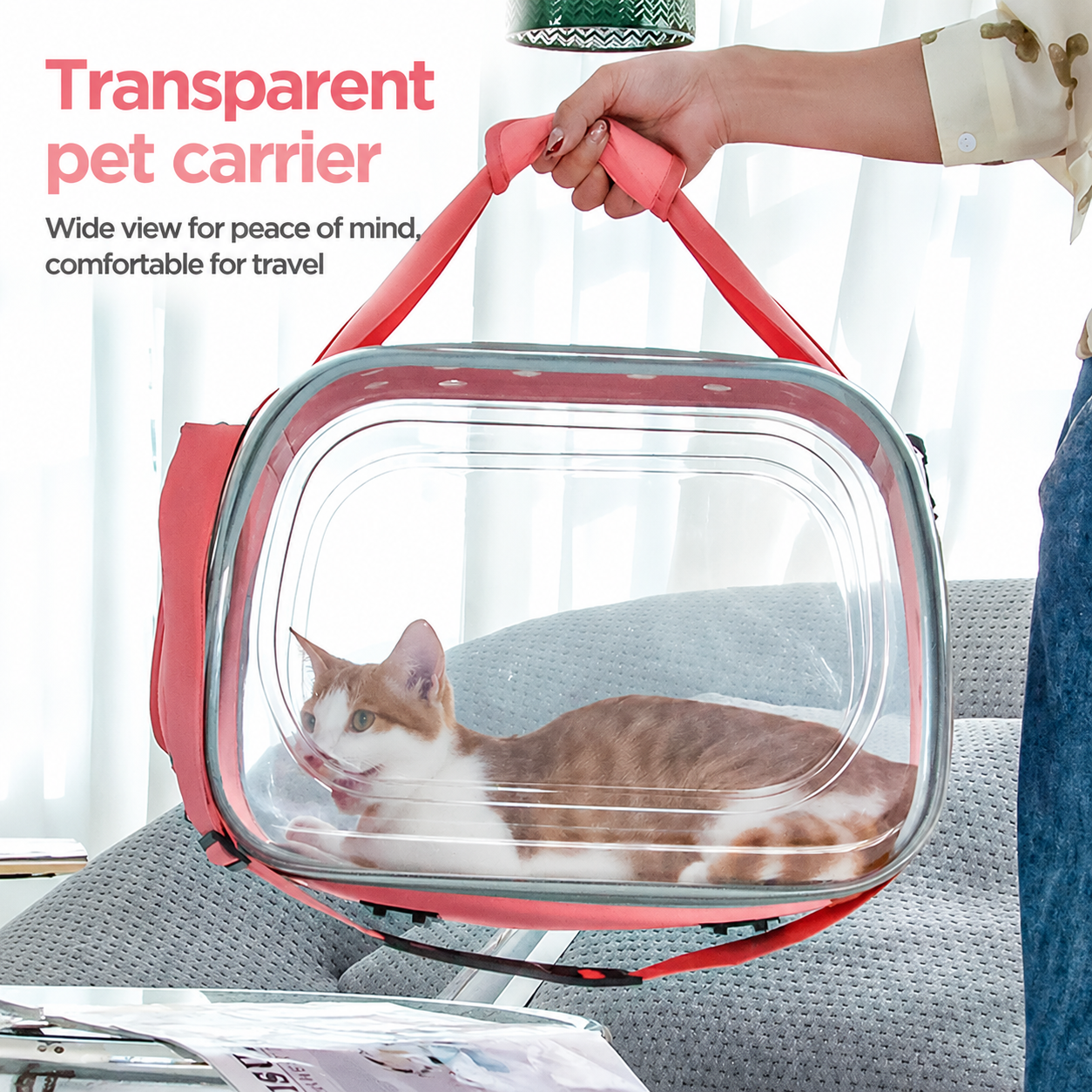 Clear-view Pet Carrier