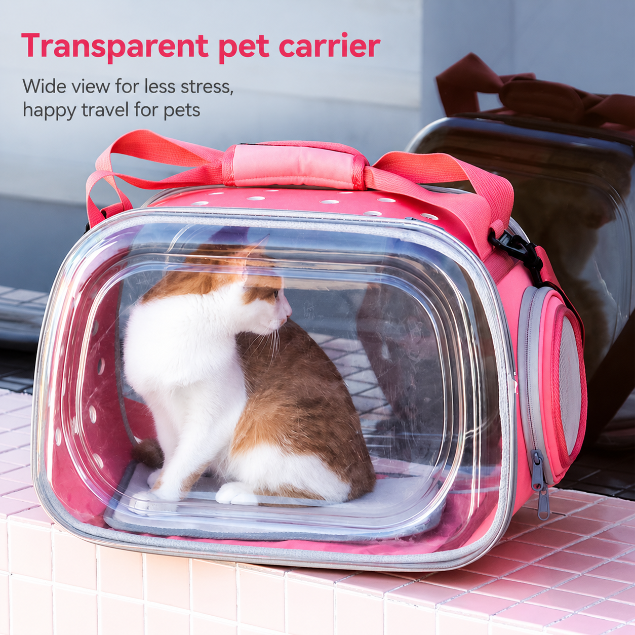 Clear-view Pet Carrier